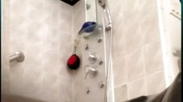 એક માણસ fucks ગુજરાતી સેકસી ગુજરાતી સેકસી એક મહિલા સાથે મોટા tits અને piercings
