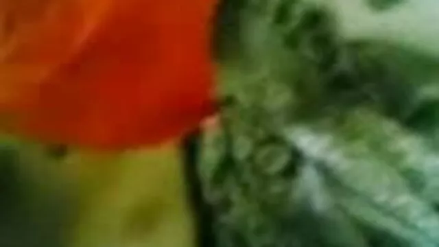 ઘર બીપી સેકસી એચડી વીડીયો છોકરી મુદ્દો