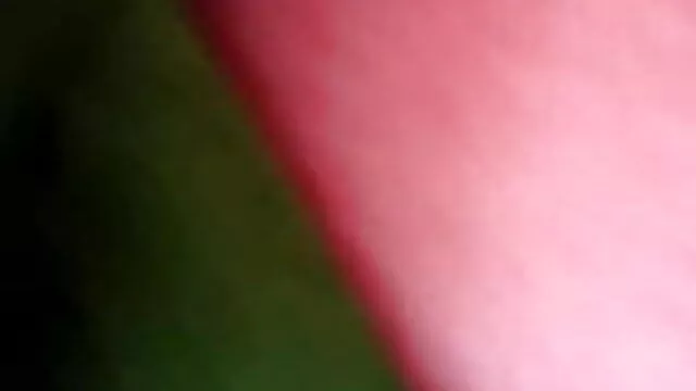 પોર્ન અમેરિકન પિતા ફુલ એચડી સેકસી વીડિયો