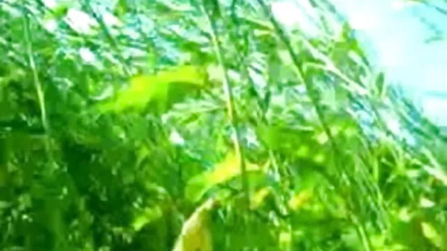 એક સેકસી વિડીયૉ પસંદગી ઘર porn